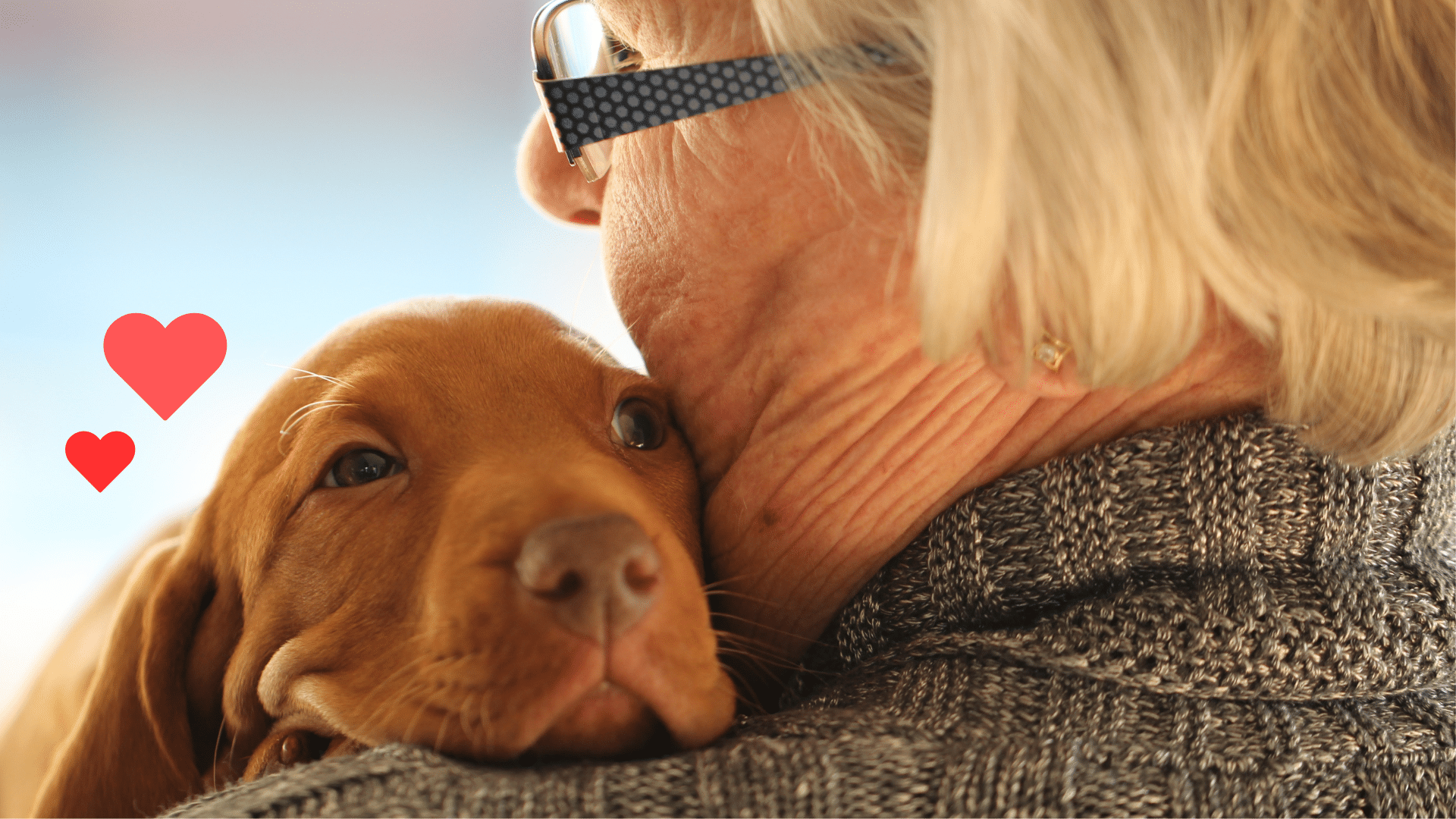 New puppy bonding with an owner as part of new pet preparation in Rome, GA